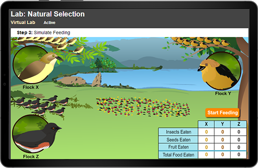Screenshot of a writing lesson about water